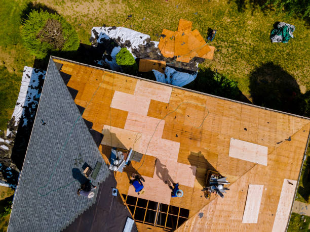 Best Roof Gutter Cleaning  in Grove City, PA